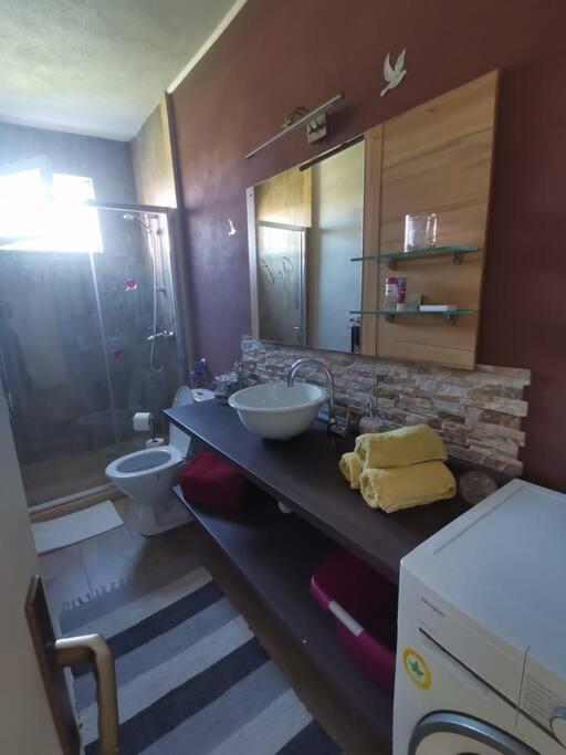 Apartment Zara Funtana Exterior foto